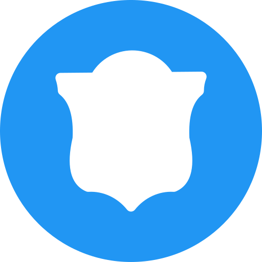 Shield Generic color fill icon