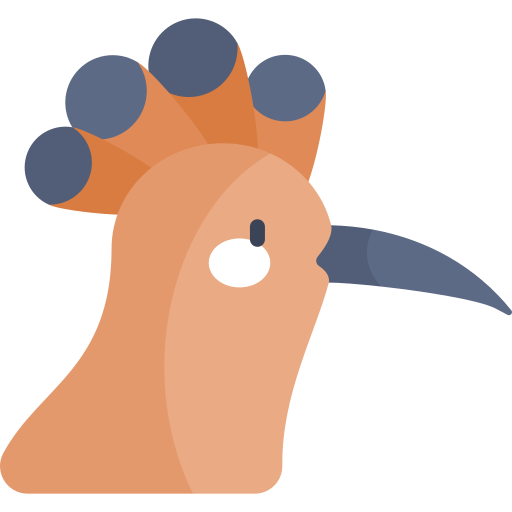 Hoope free icon