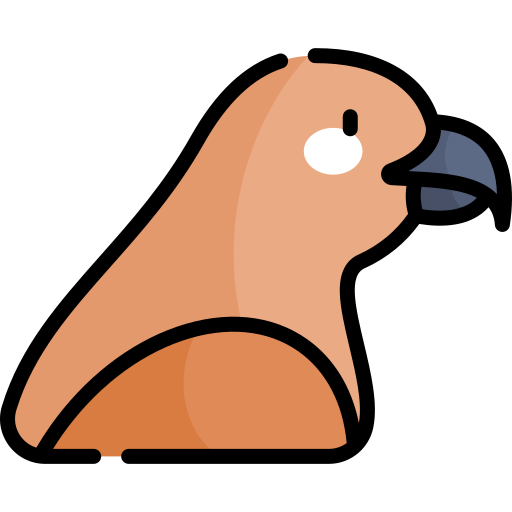 Hawk Kawaii Lineal color icon