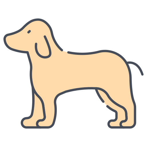 Dog Generic color lineal-color icon