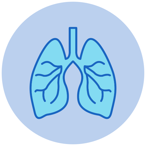 Lungs Generic color lineal-color icon