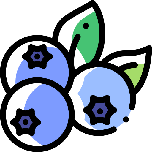 Blueberries free icon