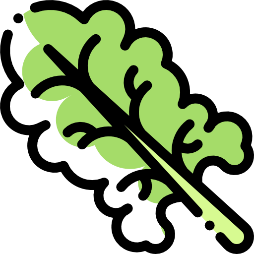 Салат бесплатно иконка Салат бесплатно иконка