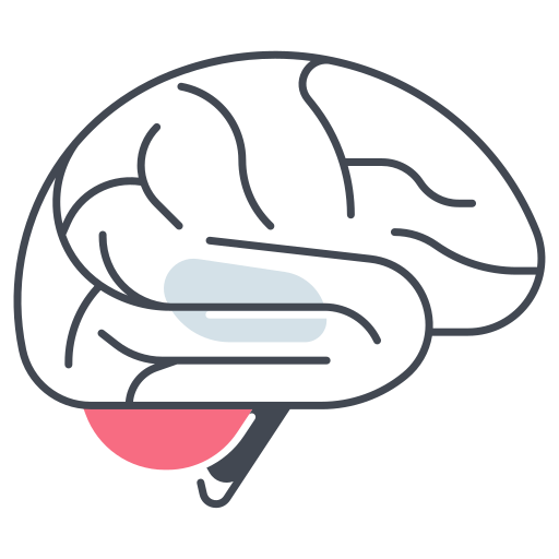 Brain - free icon