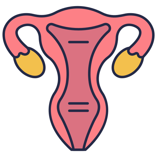 Female organs Generic color lineal-color icon