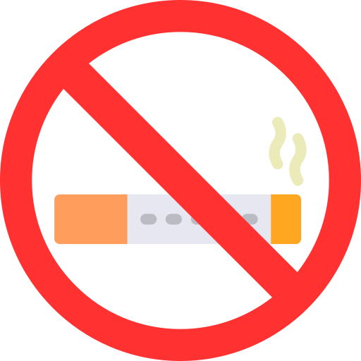 No smoking Generic color fill icon