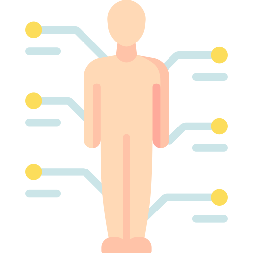 anatomy Icône gratuit